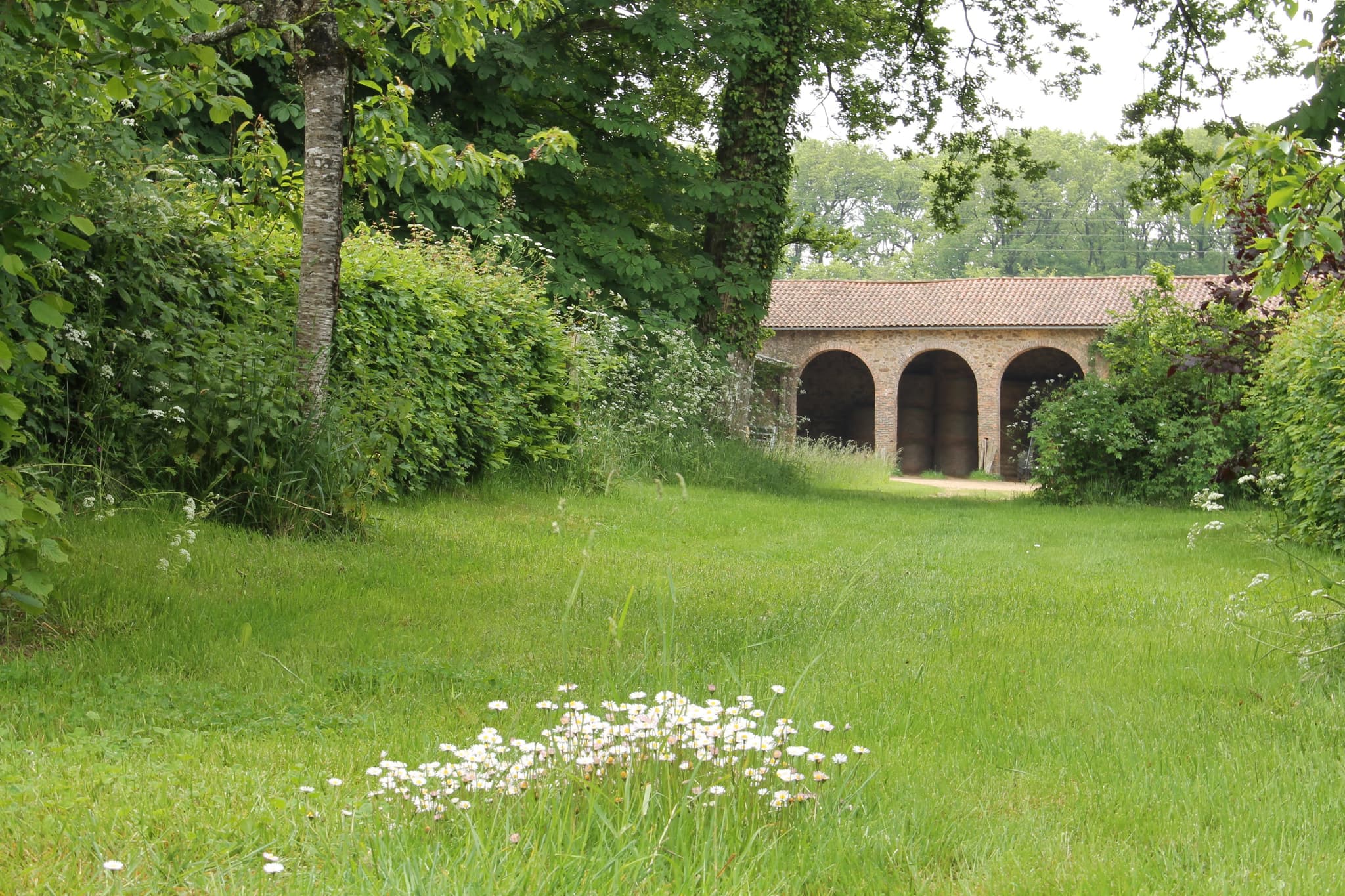 Le chemin de la grange