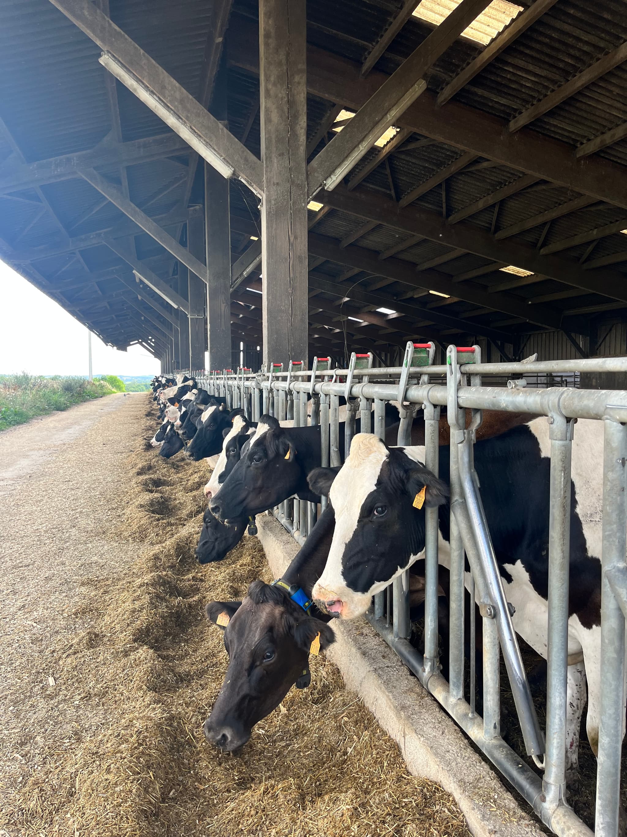 Ferme de Montlebeau