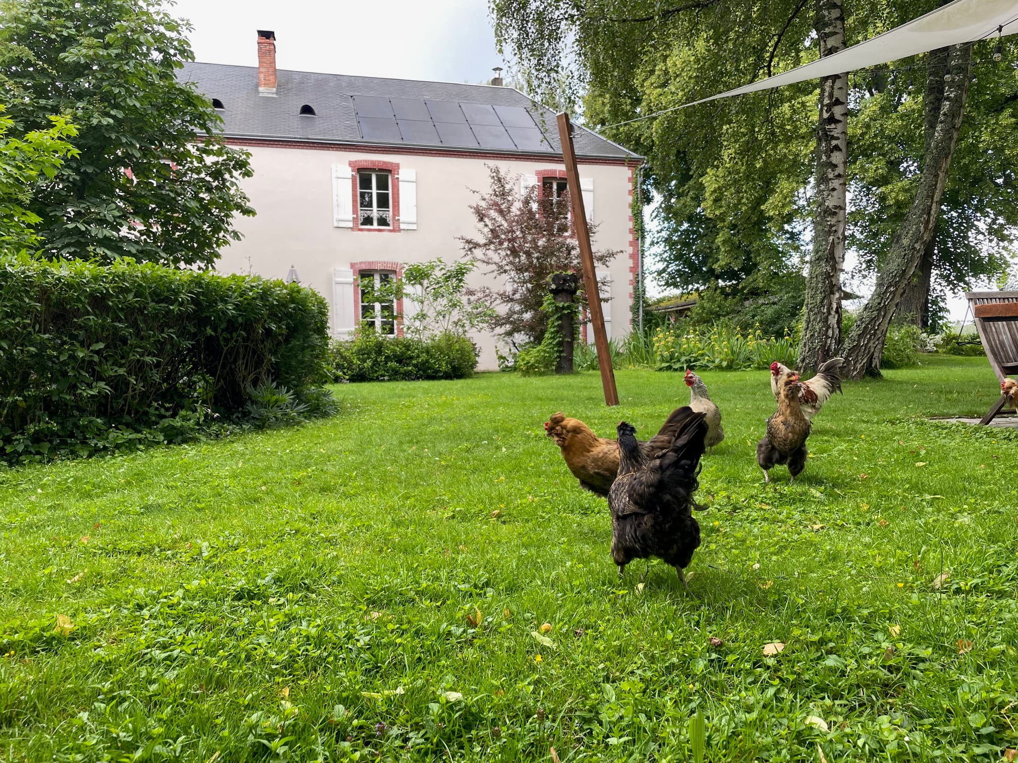 gardin