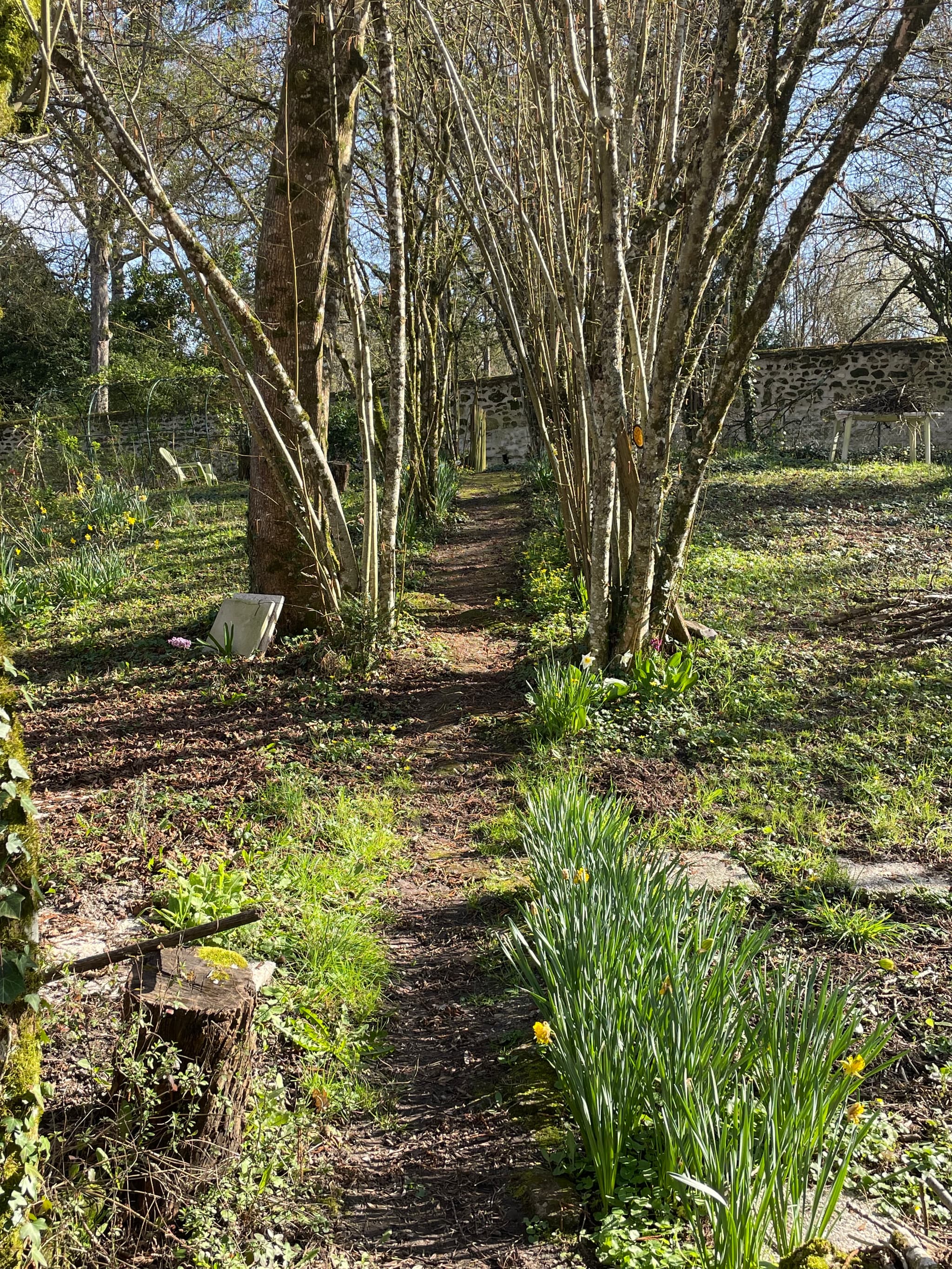 petit chemin du jardin face à la cour donnant accès au Parc des Confluences