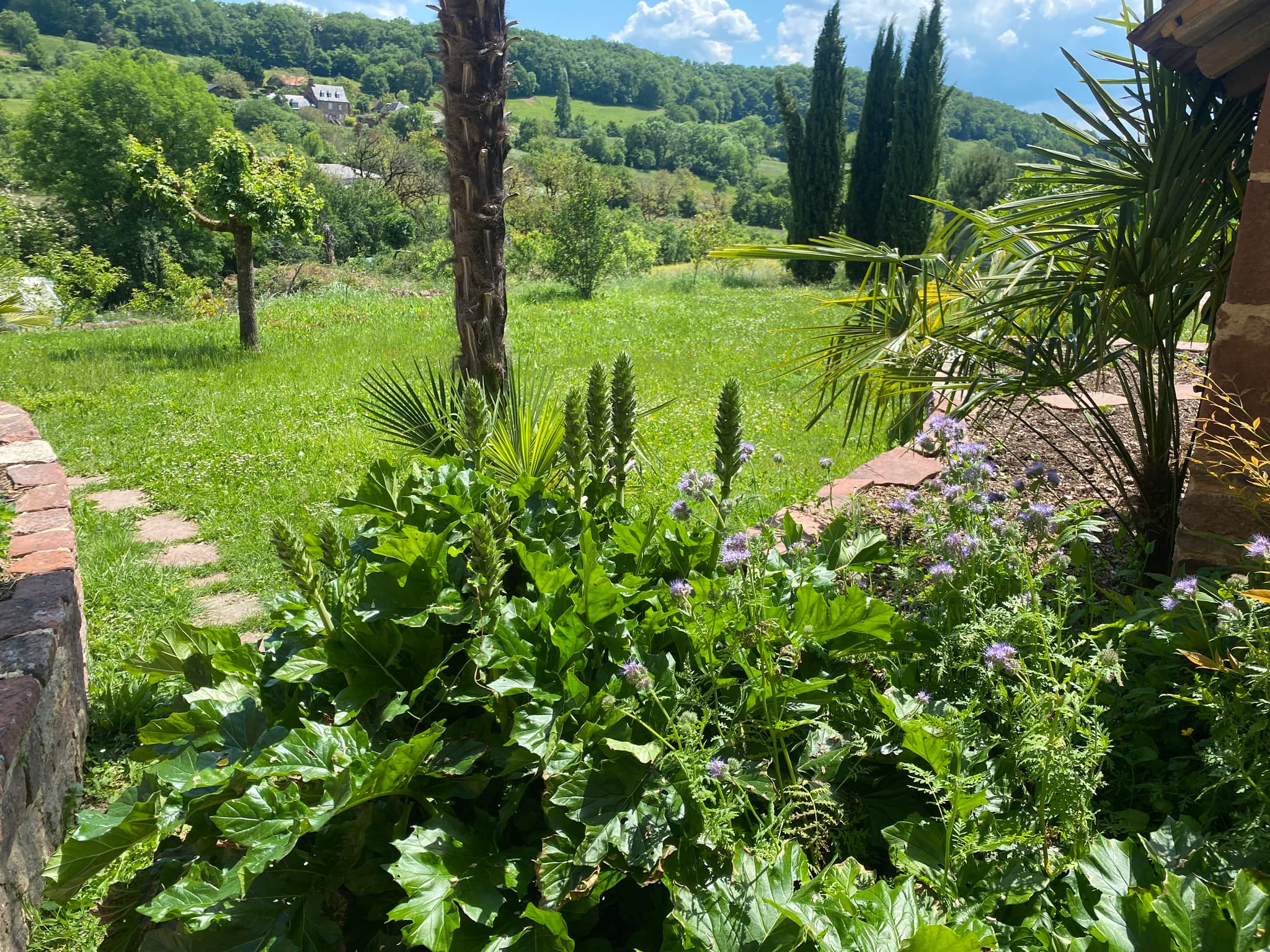 Vue sur collines _3