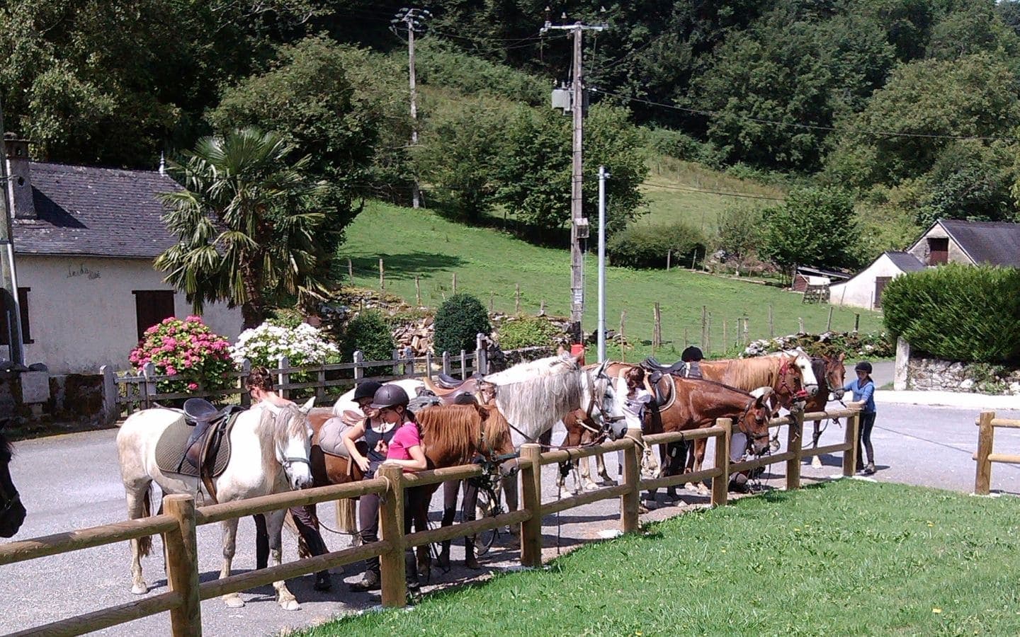 Loisirs équestre - Ferme Couhet - Montaut Lourdes Nay Pyrénées