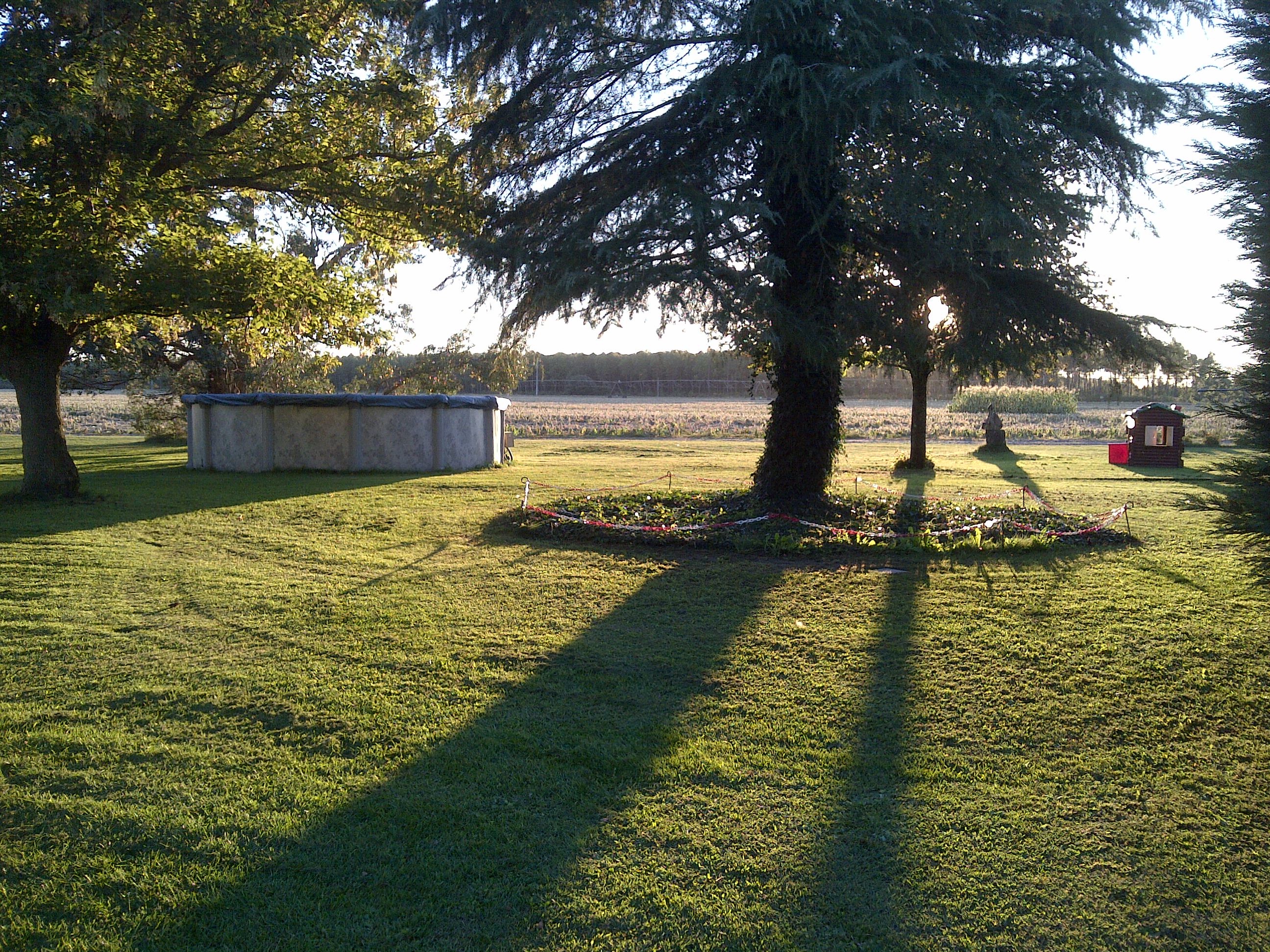 Terrain 1