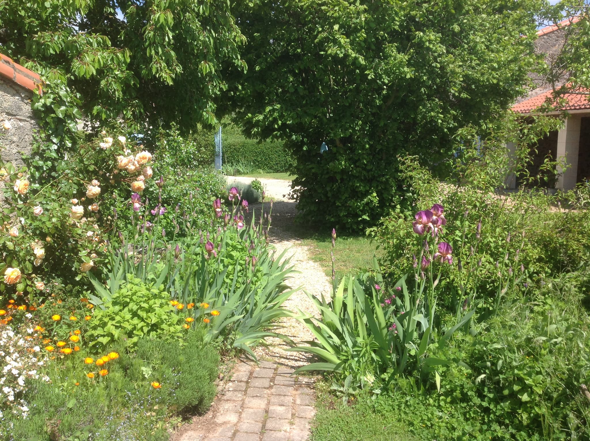Meuble gite Rose Barn FREEDMAN Cersay Val en Vignes Thouarsais Deux Sevres