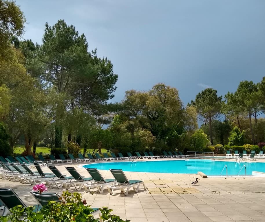 Appartement Albertine_Moliets_Landes Atlantique Sud