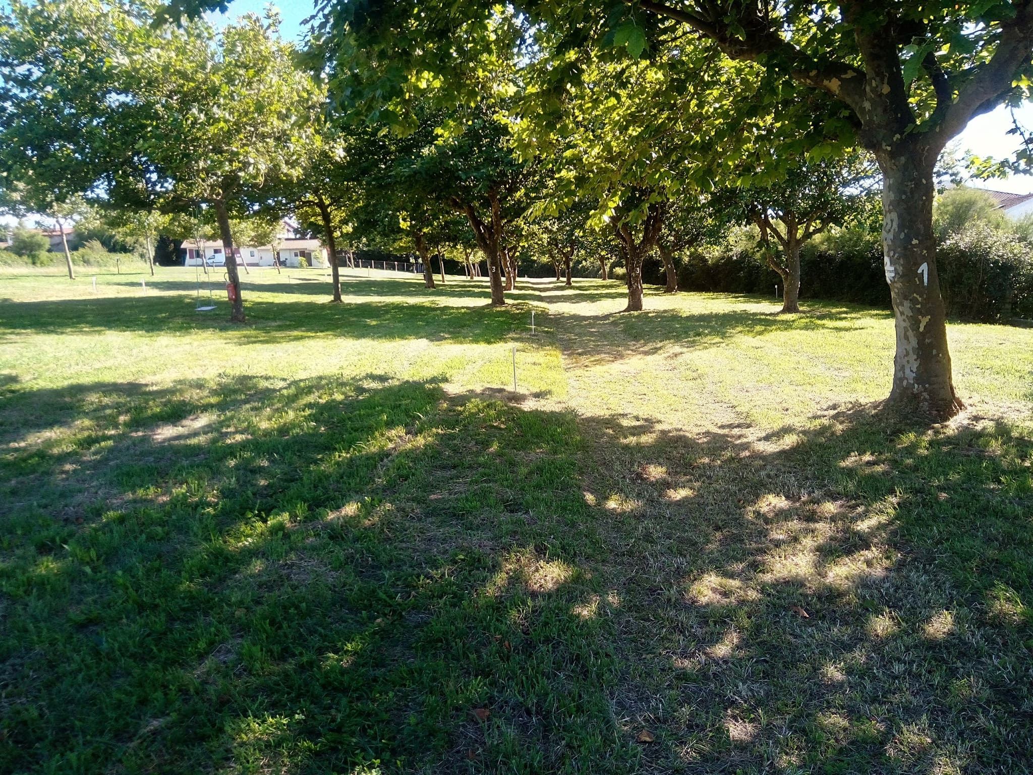 espace arboré sur la zone d'emplacements campeurs sans véhicules à moteur