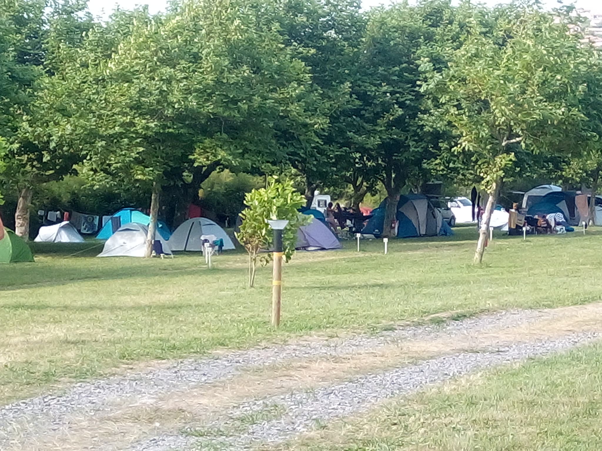 espace tentes, sous les vieux platanes