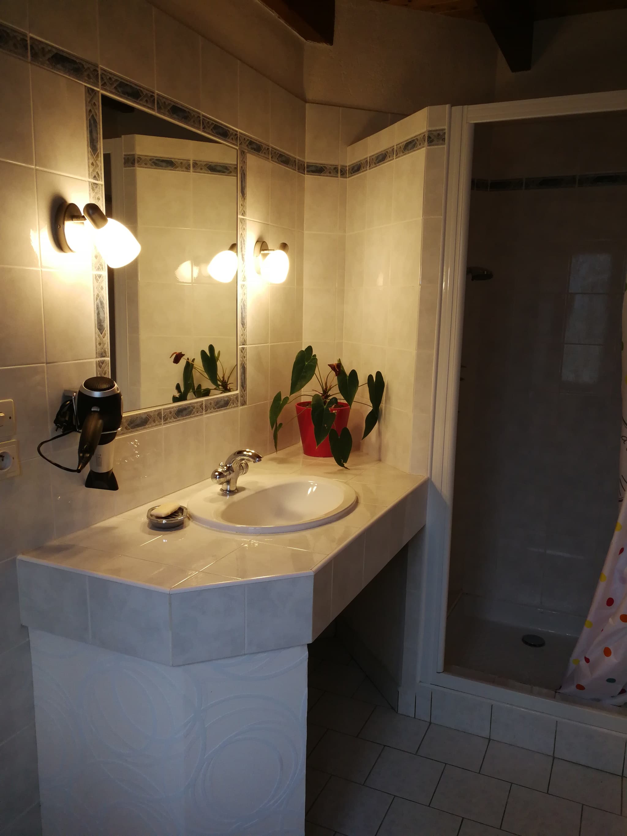 Dénanté salle d'eau