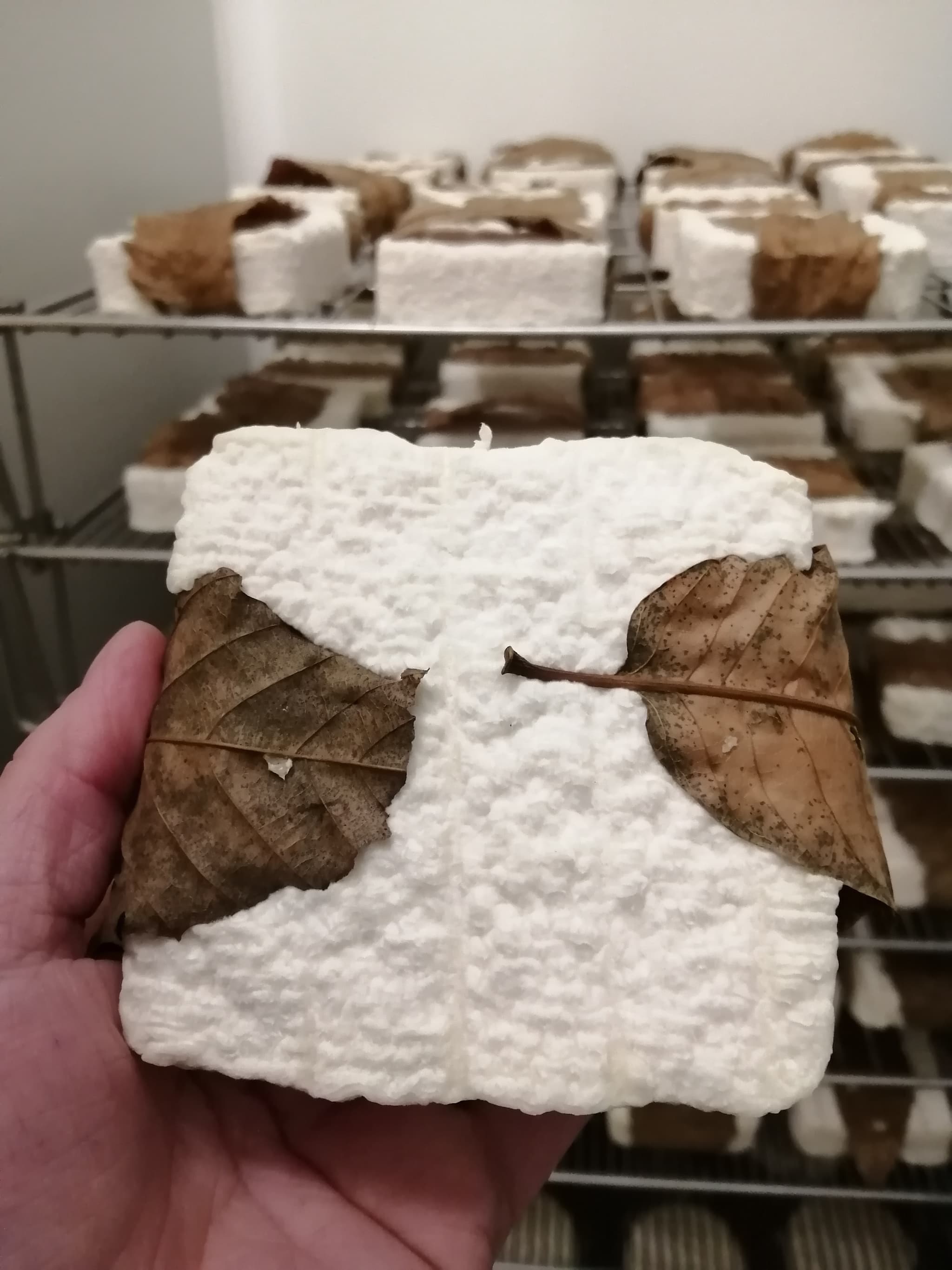 Fromages de chèvres - La C'lait des champs - Carré de Couhé