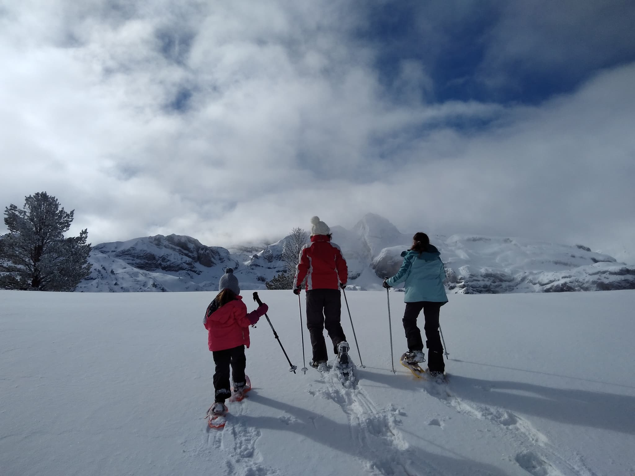 Raquettes à neige