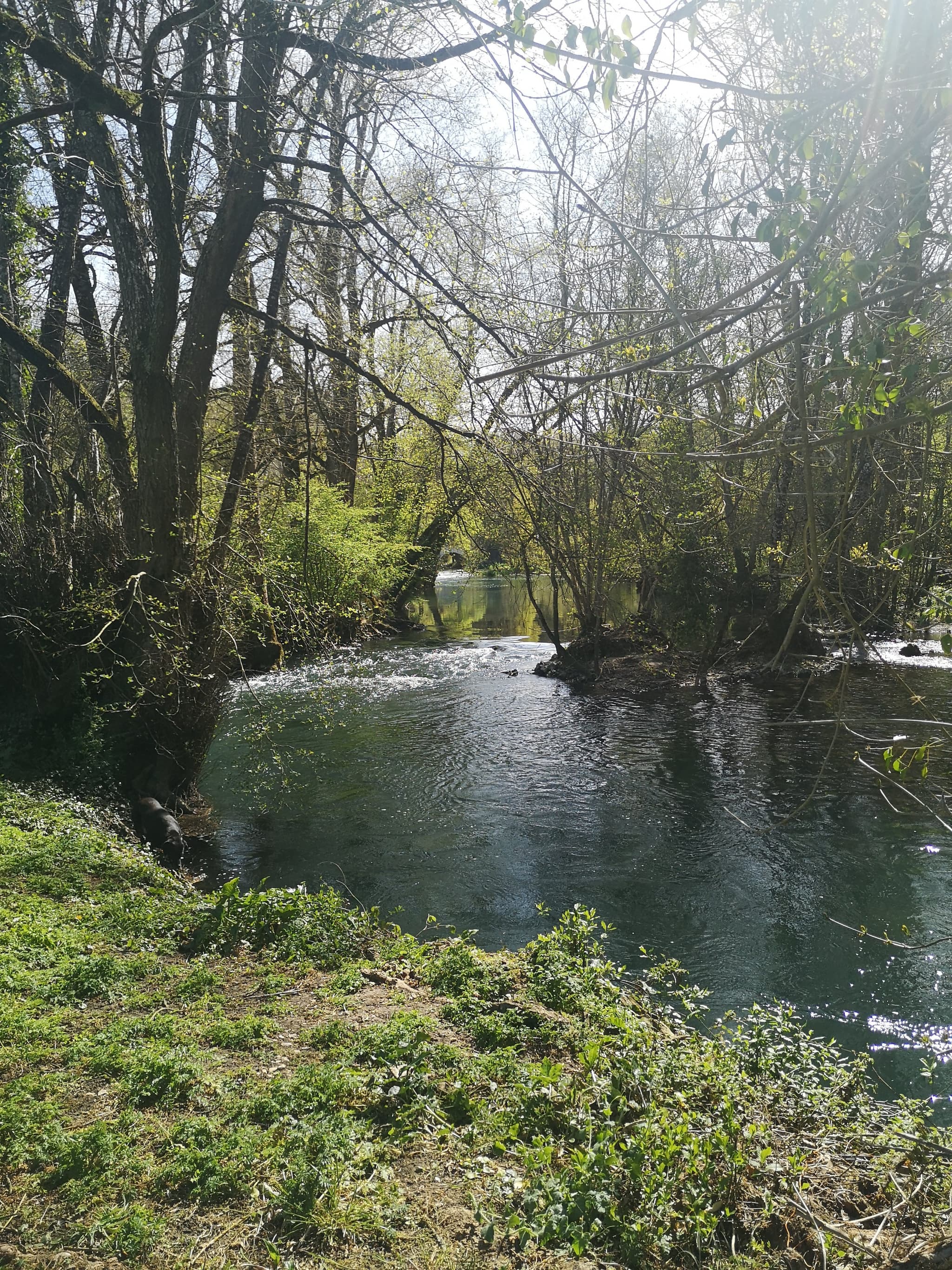 Anché _La rivière du Clain