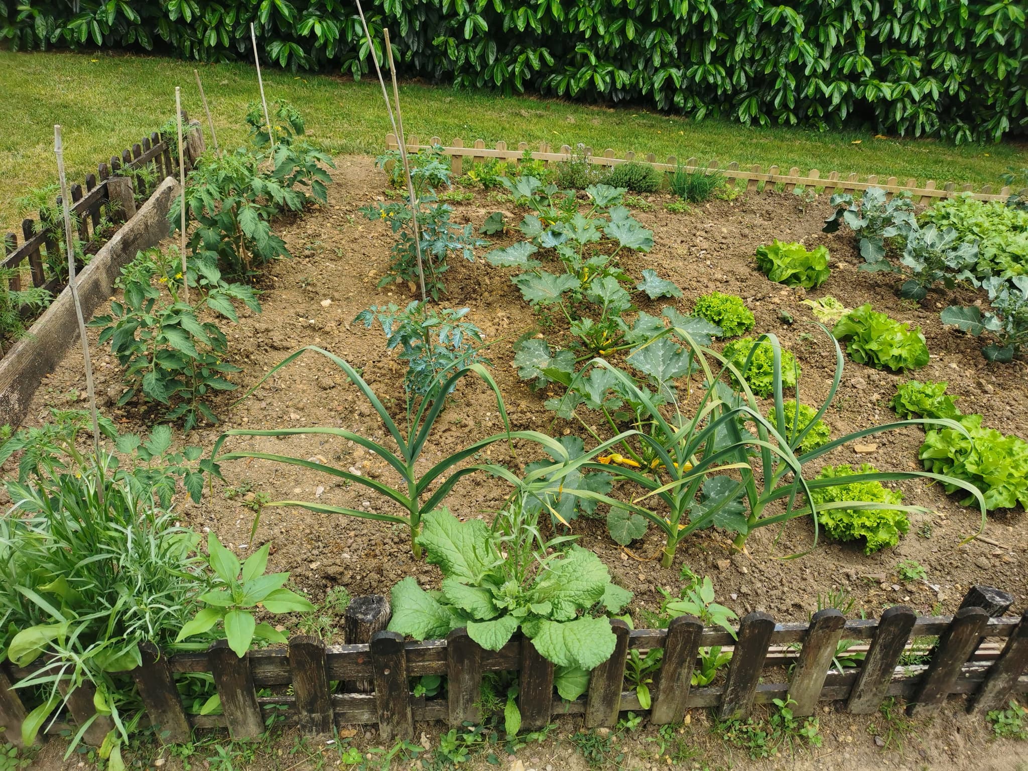 Le potager pour les clients
