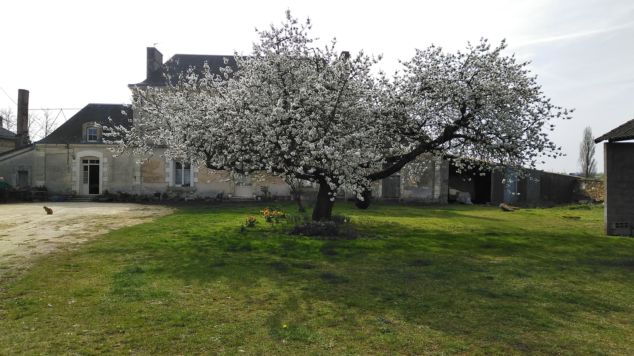 Chambre d'hôtes