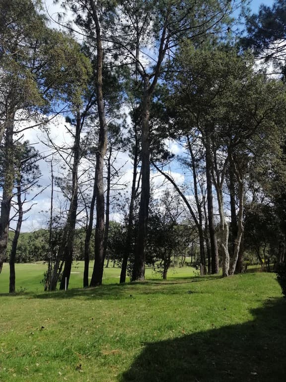 Location Villenave_Moliets_Landes Atlantique Sud