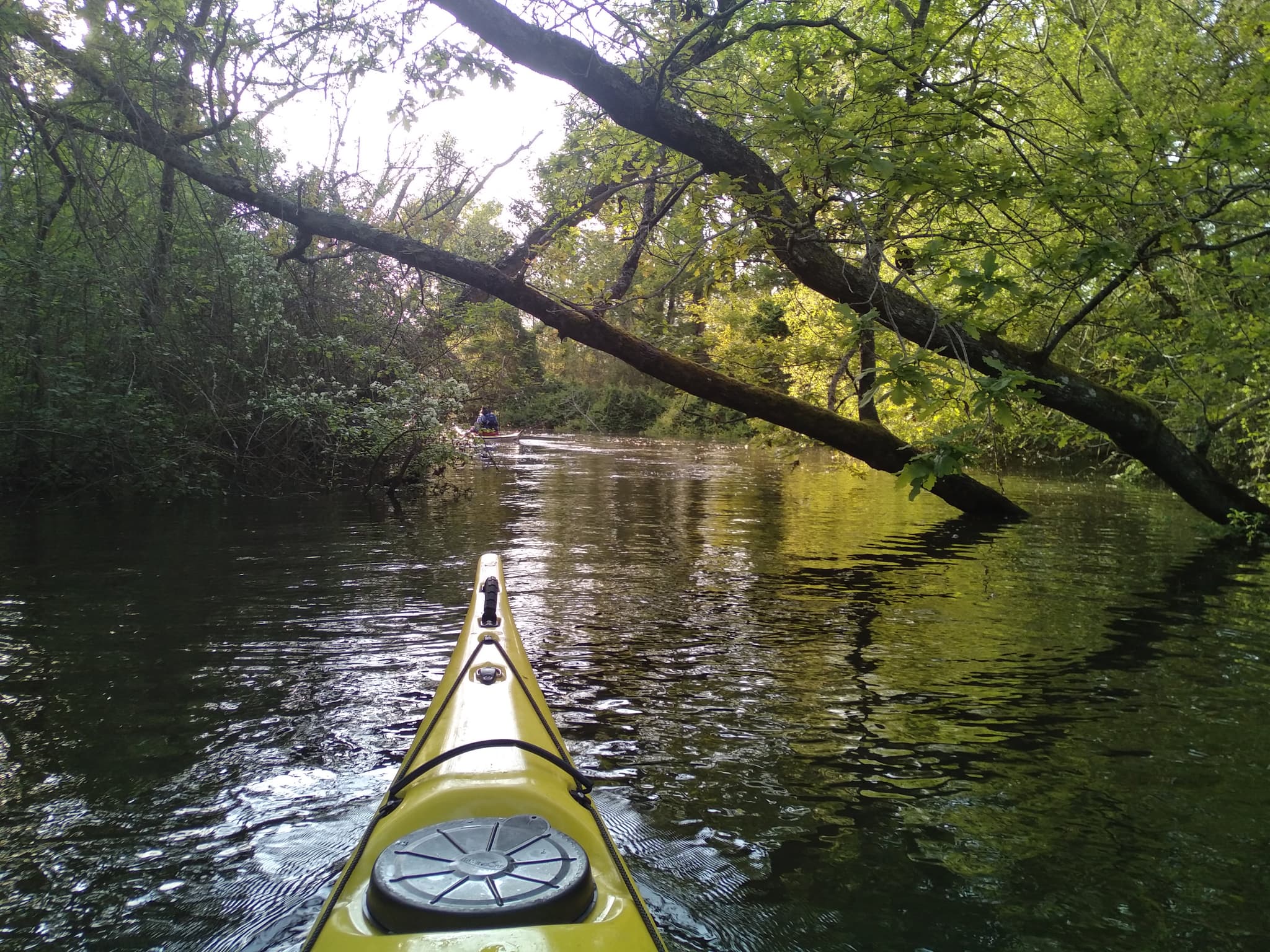 Kayak de mer sur la Leyre