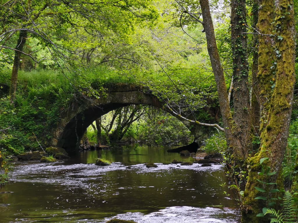 Aire de pique nique du Pont Péri