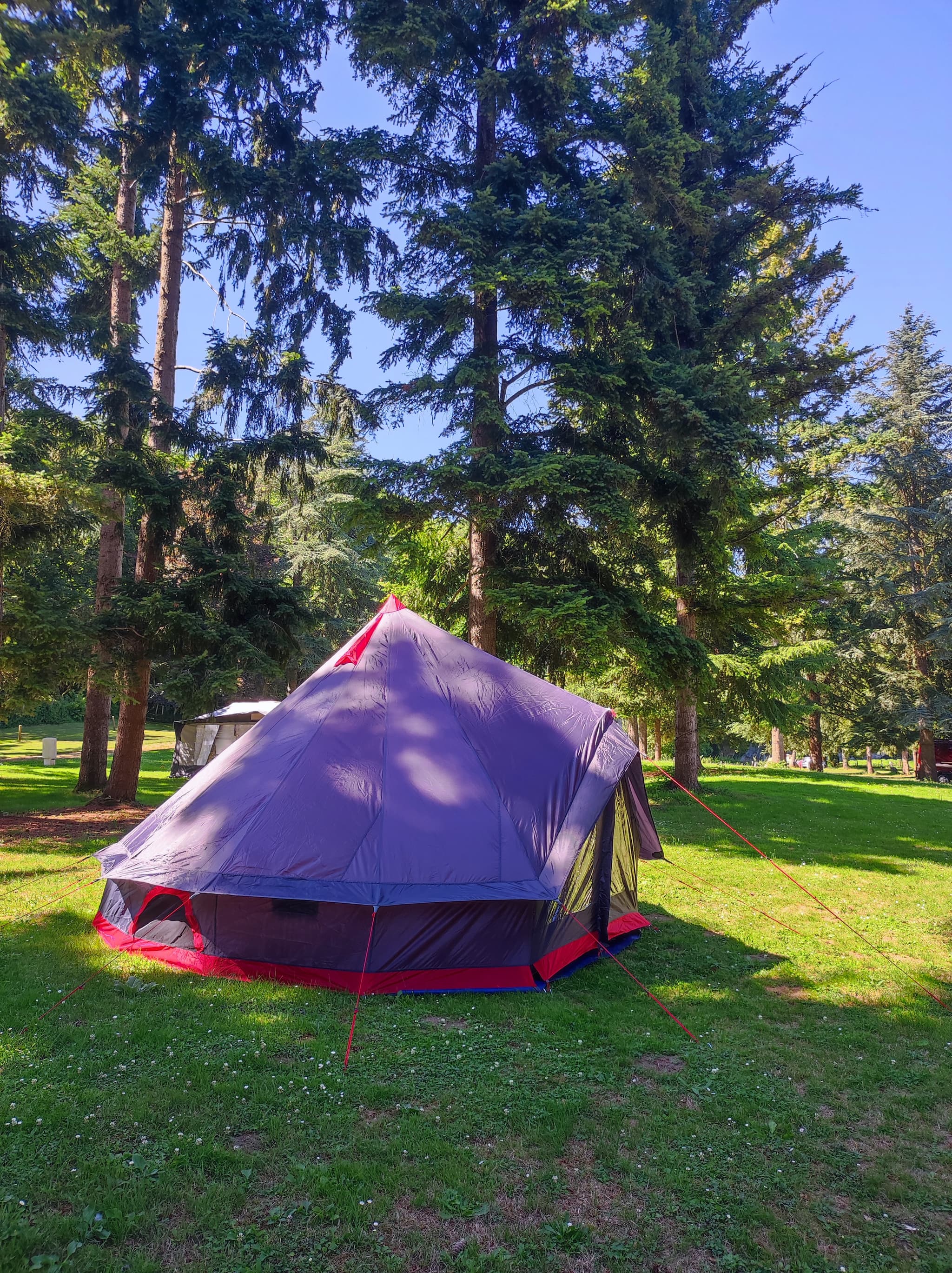 Camping Aire du Grand Pré - St Pierre de Maillé
