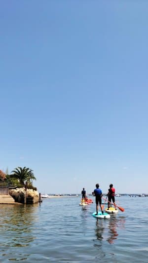 IMG-20220814-WA0167(1)