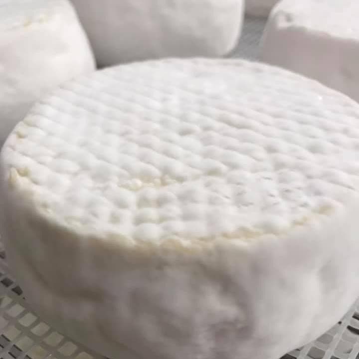 Crabotin de chèvre