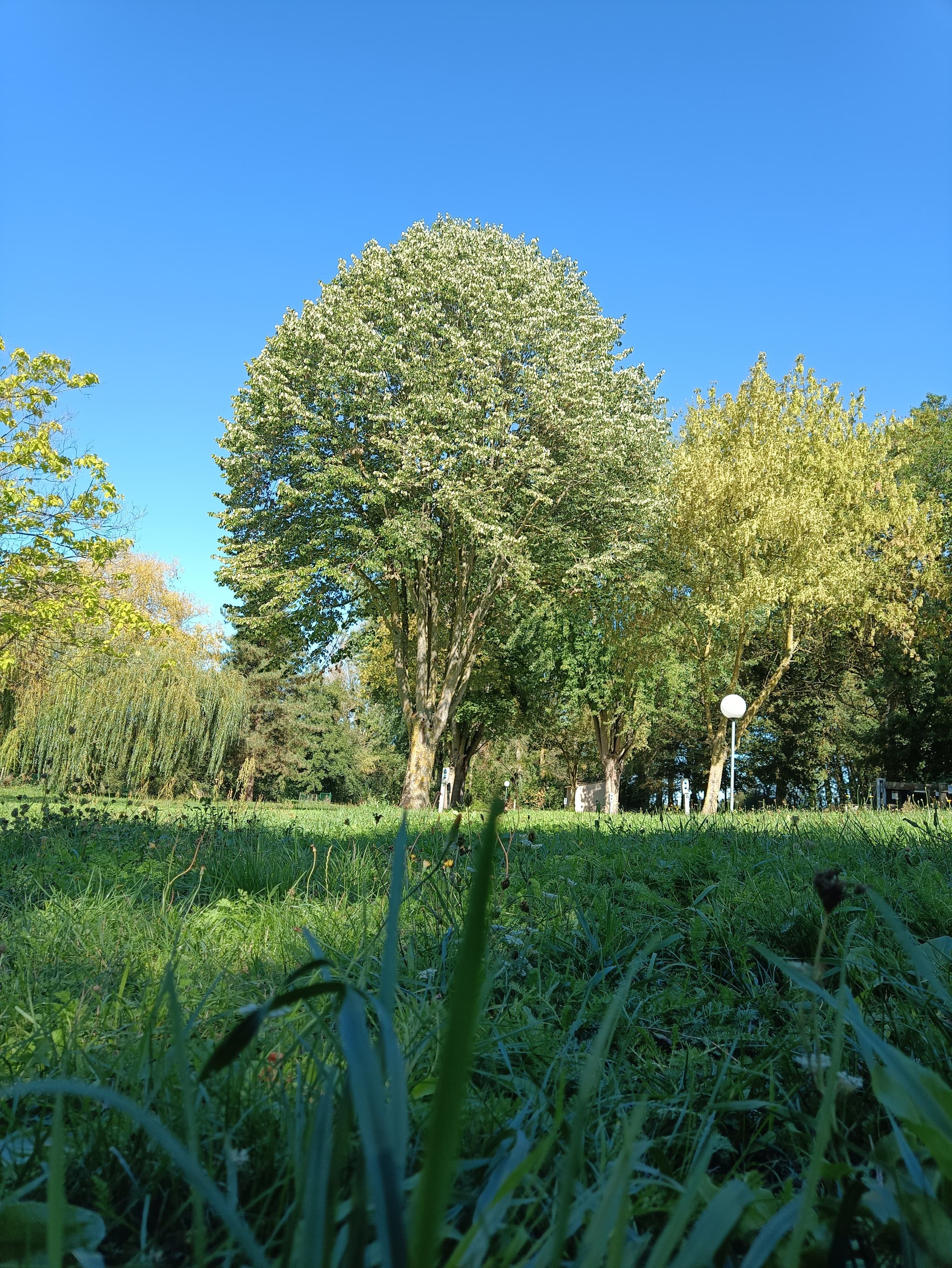 Camping les planches argenton l'eglise Loretz d'argenton thouarsais Deux Sevres