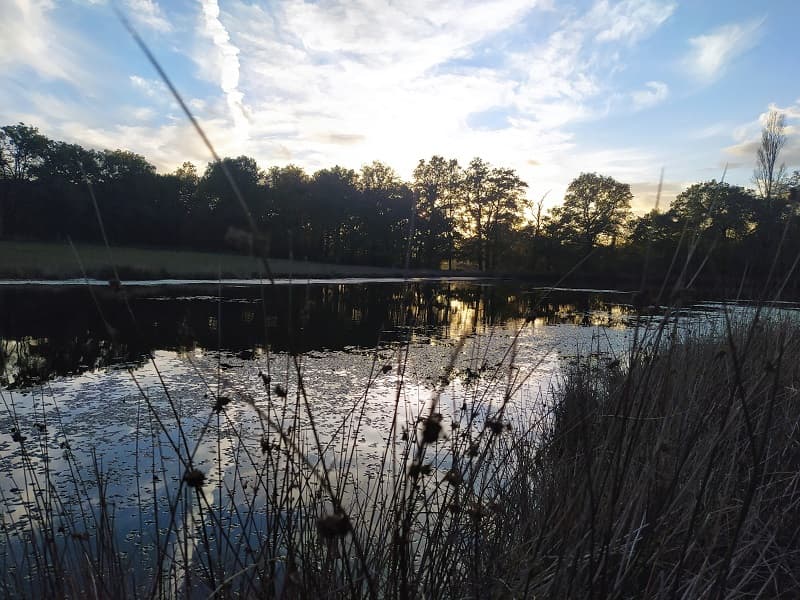 Etang
