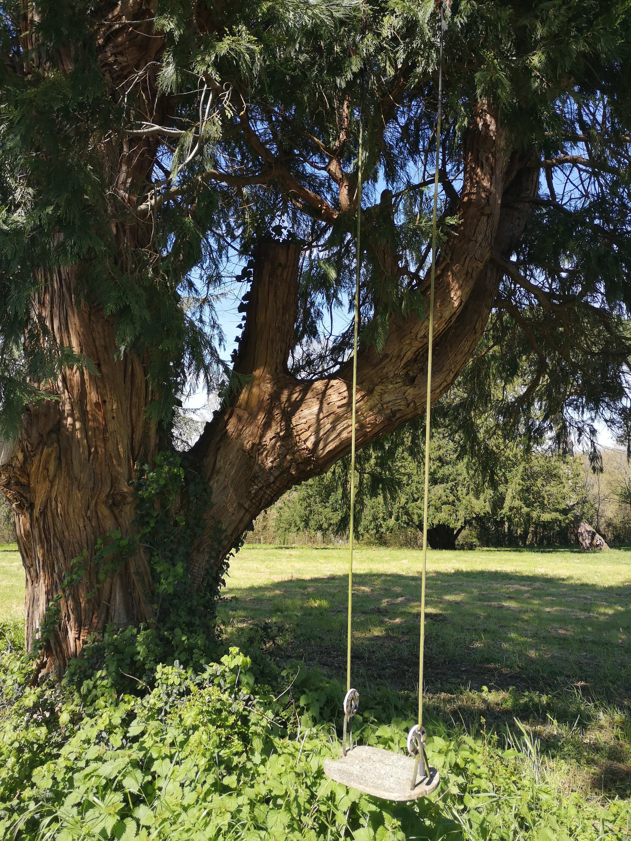 Domaine d'Ancia à Anché _ Vienne _la balançoire