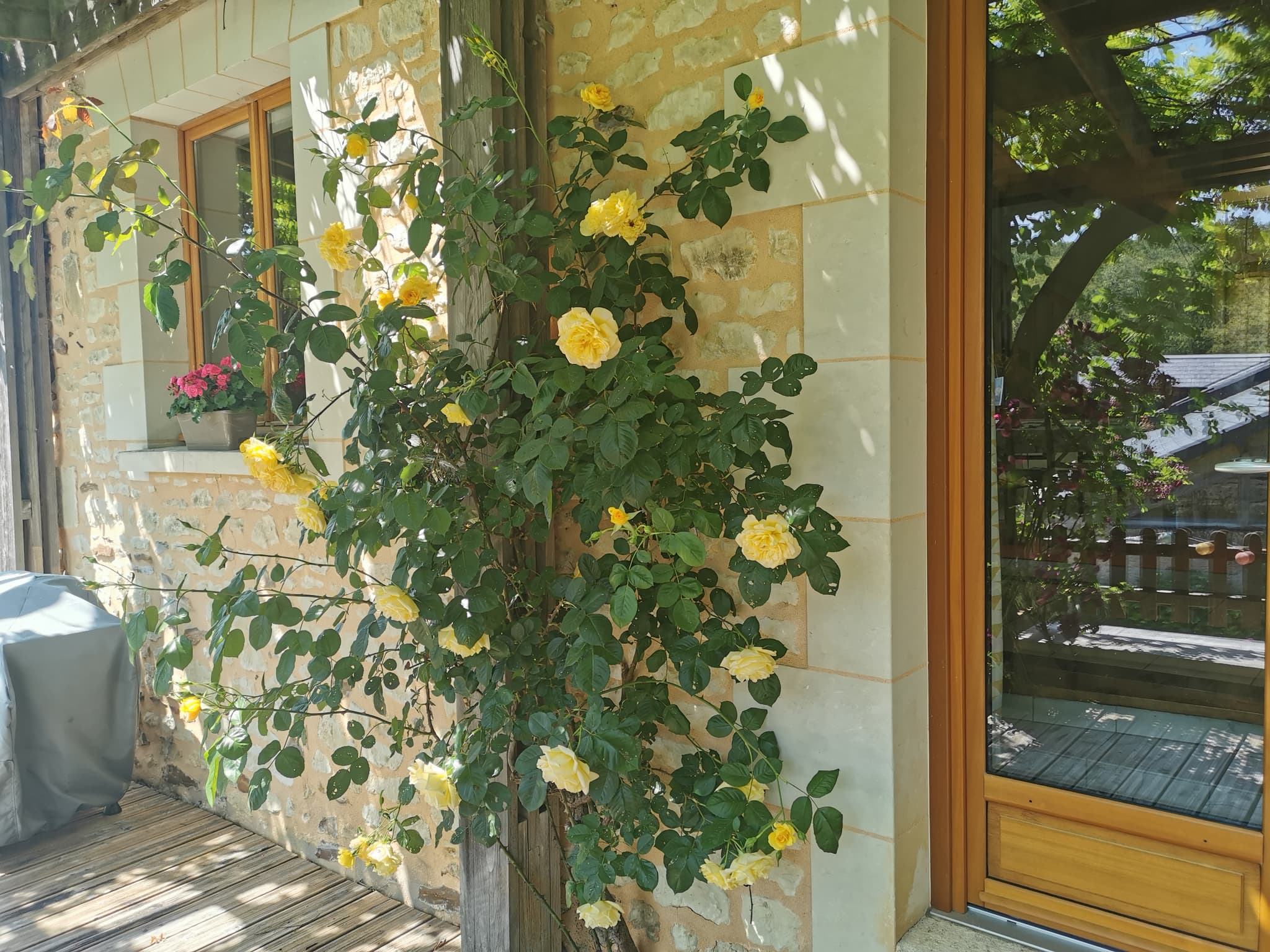 Des fleurs, des fleurs, des fleurs