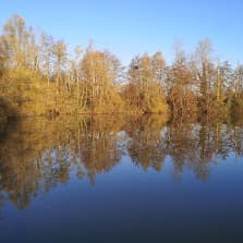 IMG_20231206_092422