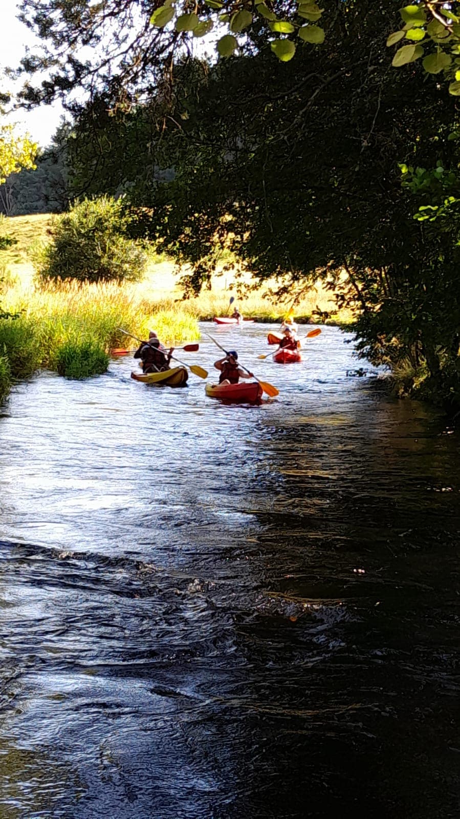 IMG-20250208-WA0000