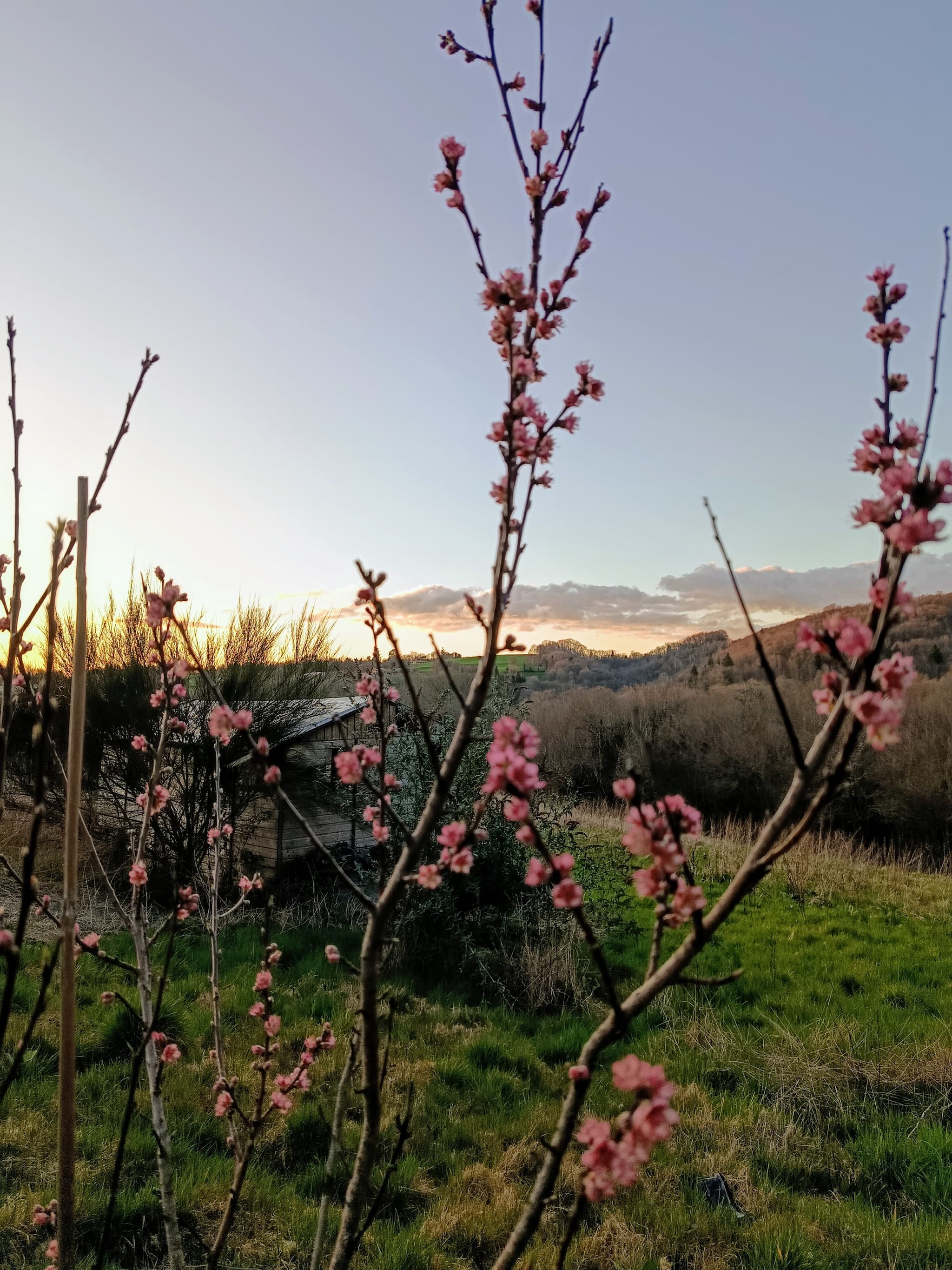 Vue depuis la Kerterre