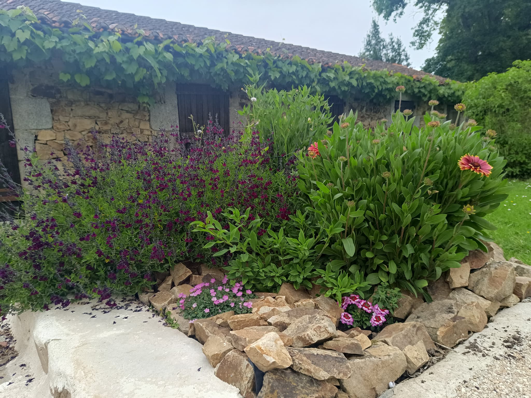 Jardin