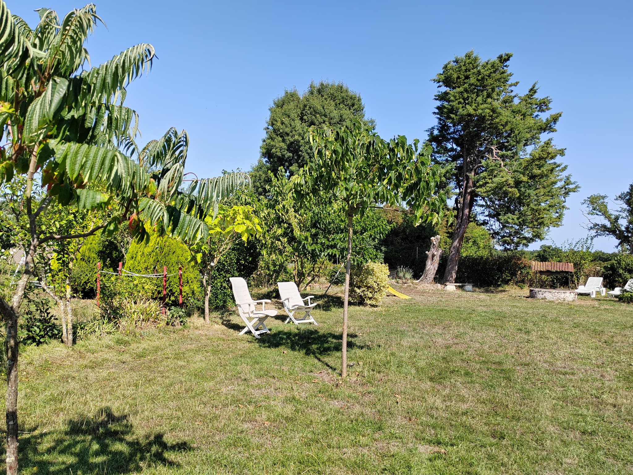 Meuble tourisme dahlias cardi Val en Vignes Thouars Thouarsais Deux Sevres