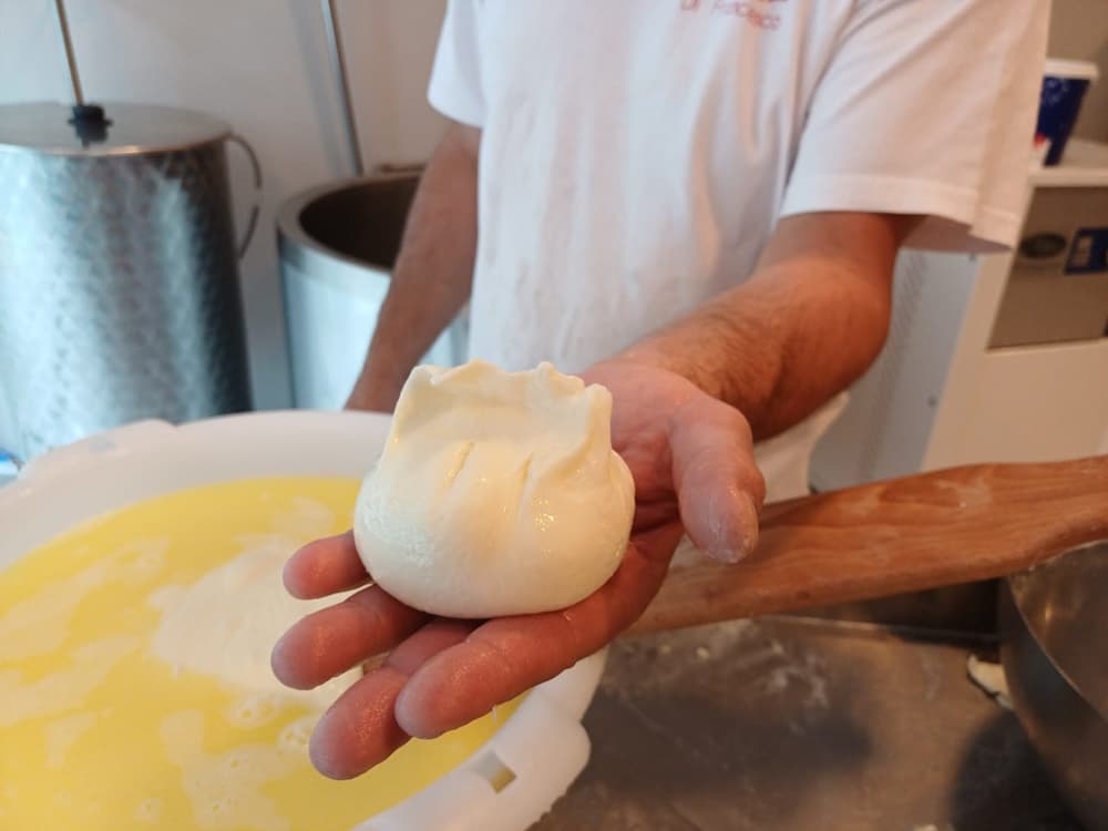 Mozzarella di Francesco