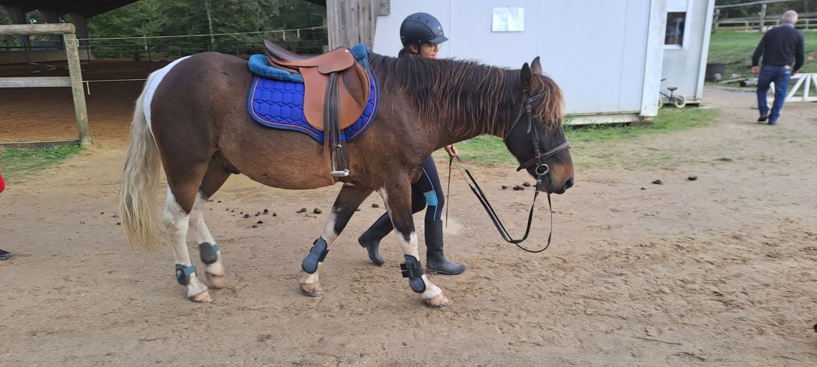 Centre cheval Poney St Antoine d'Auberoche