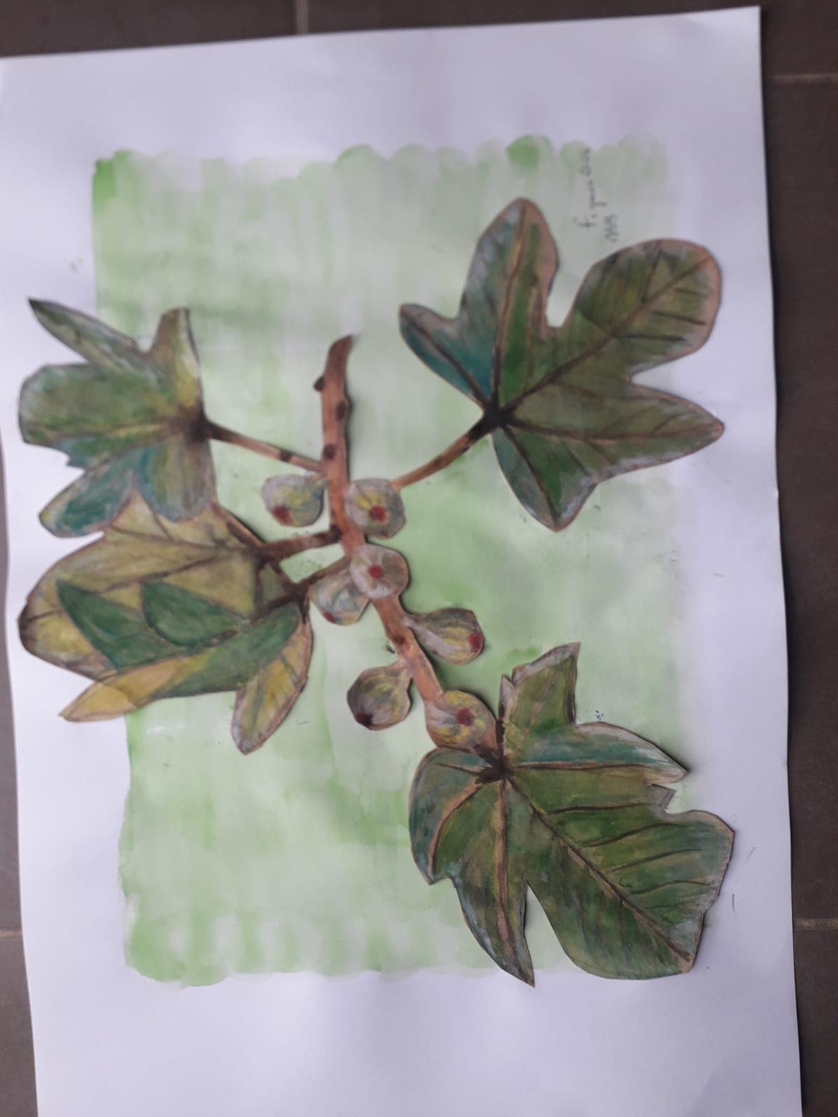Aquarelle2