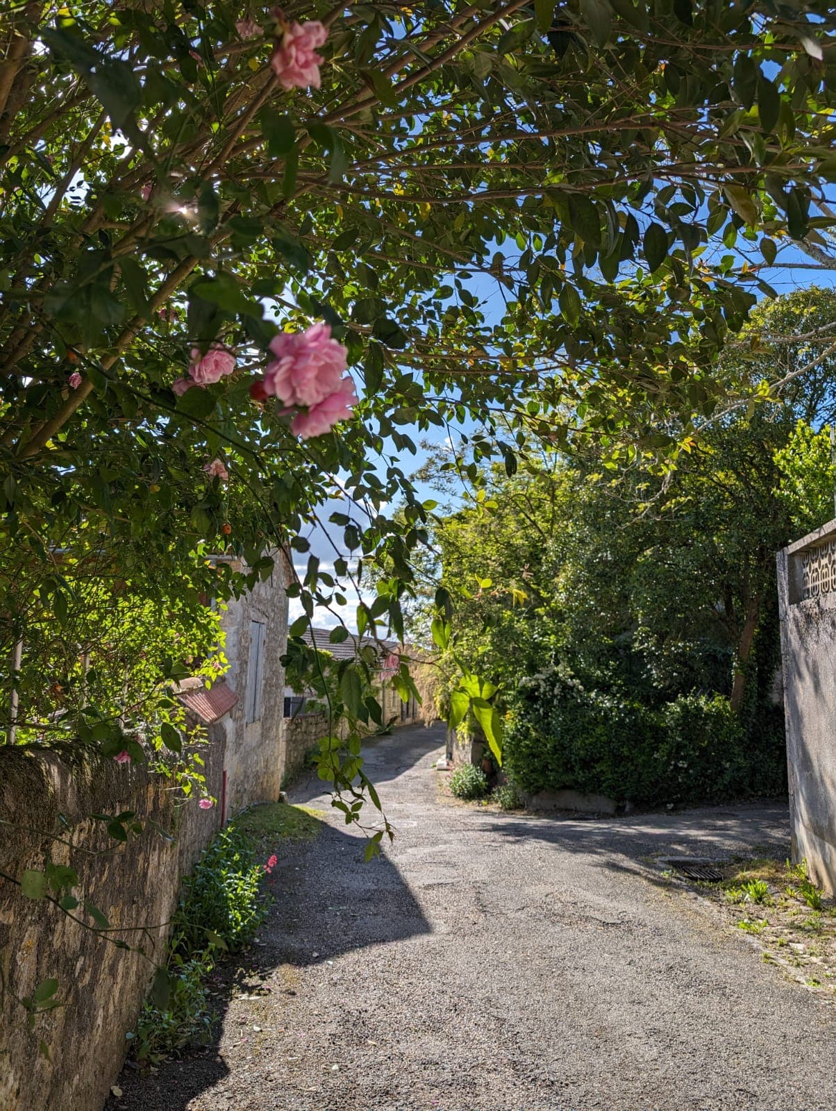 village-sainte-colombe-en-brulhois-destination-agen-tourisme