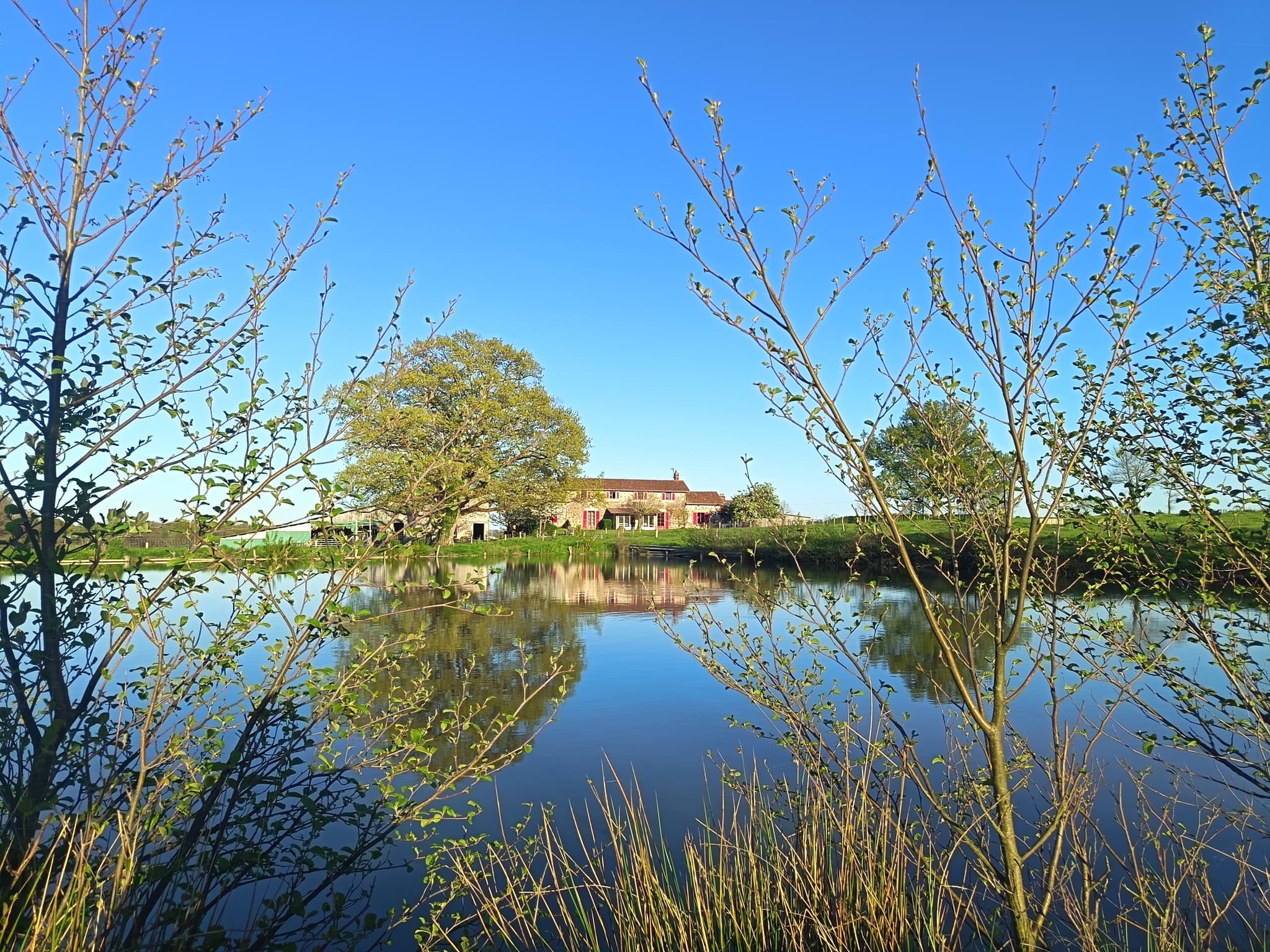 Etang