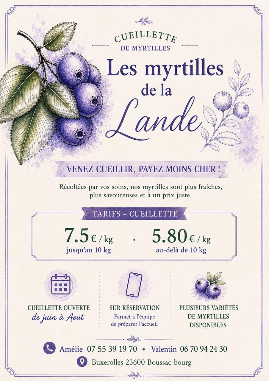 Les myrtilles de la Lande