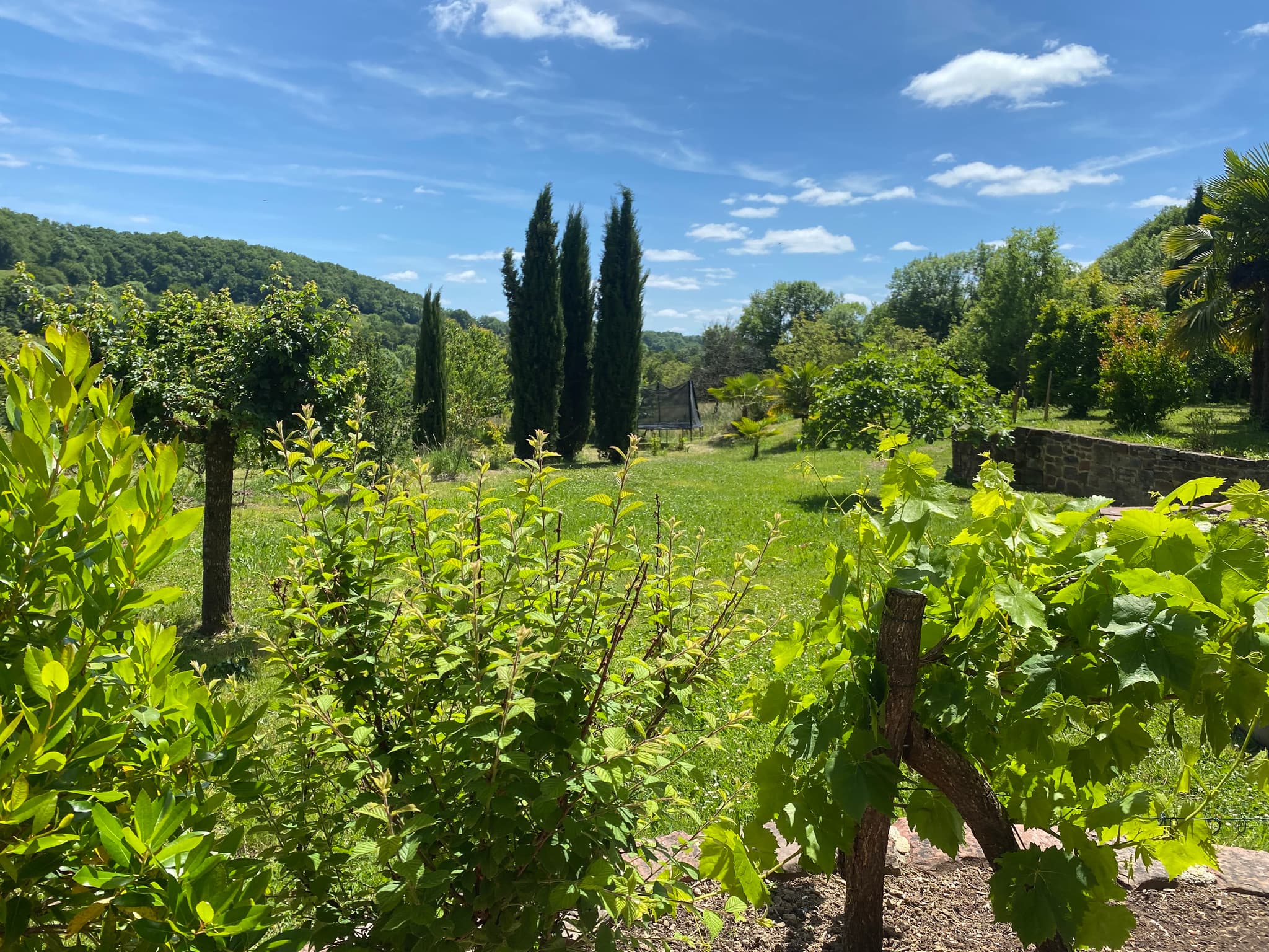 Vue sur jardin 2_5