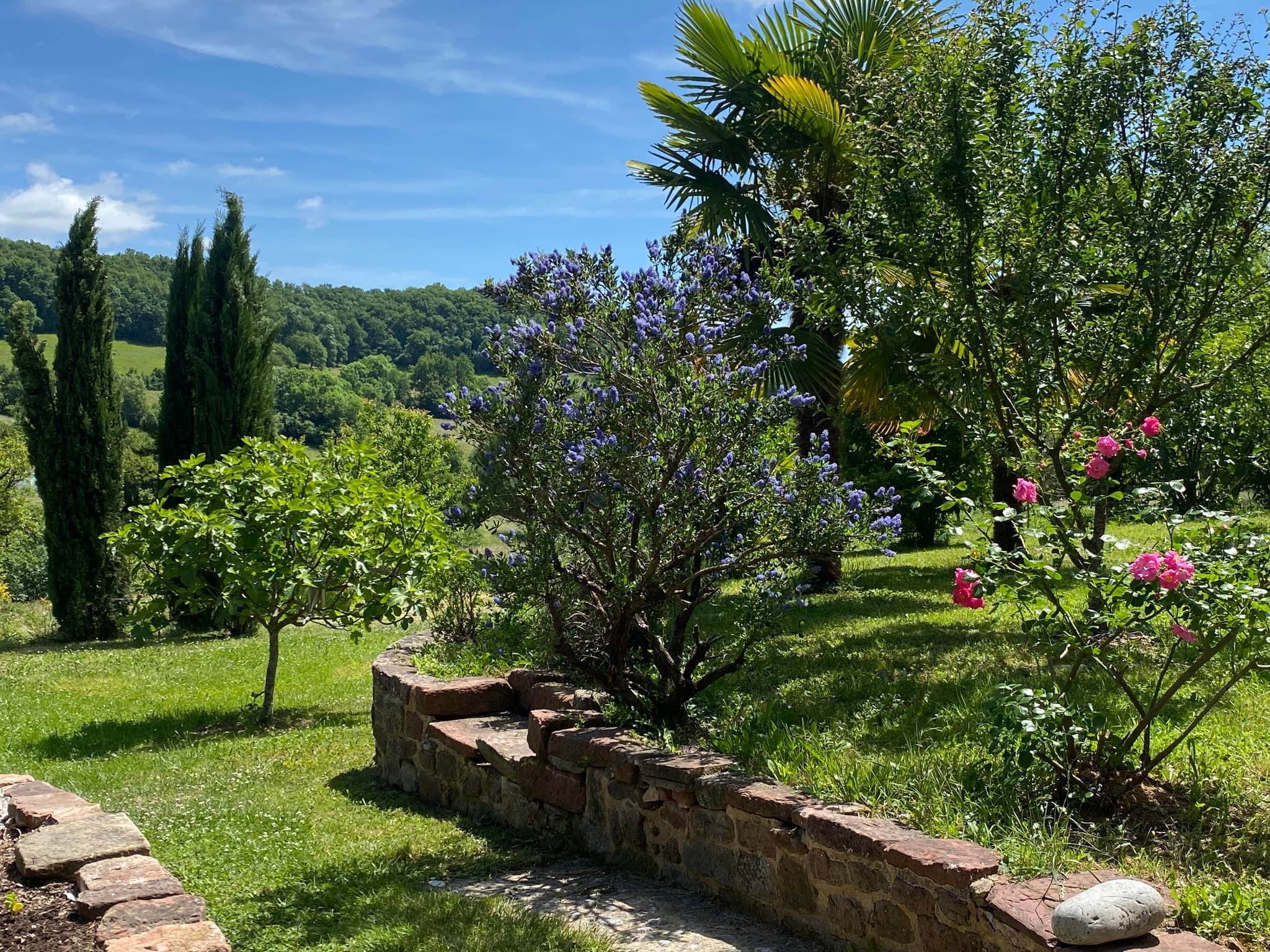 Vue sur jardin 1_4