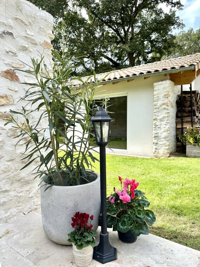 jardin