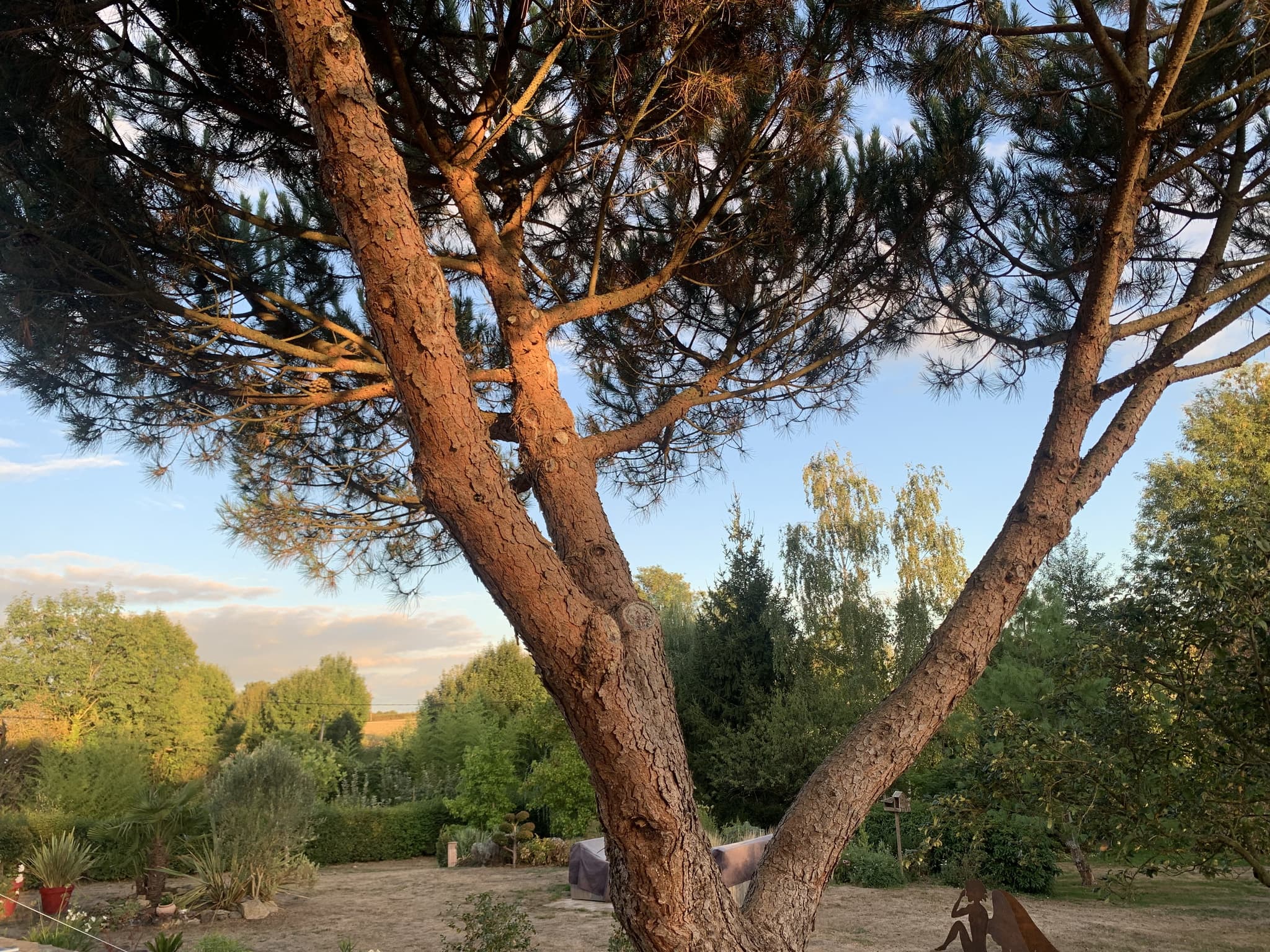 Jardin