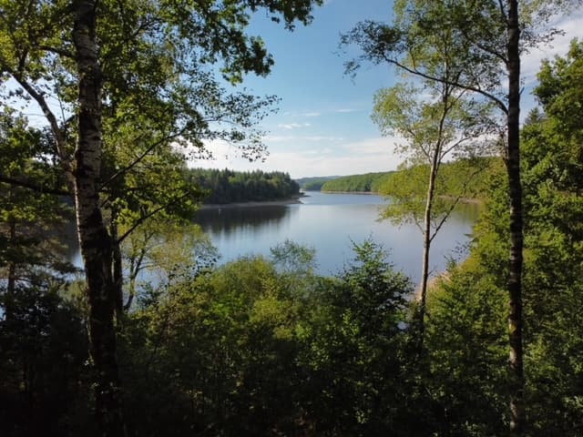Vue du Lac de Viam
