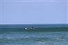 IMG-2559-4
