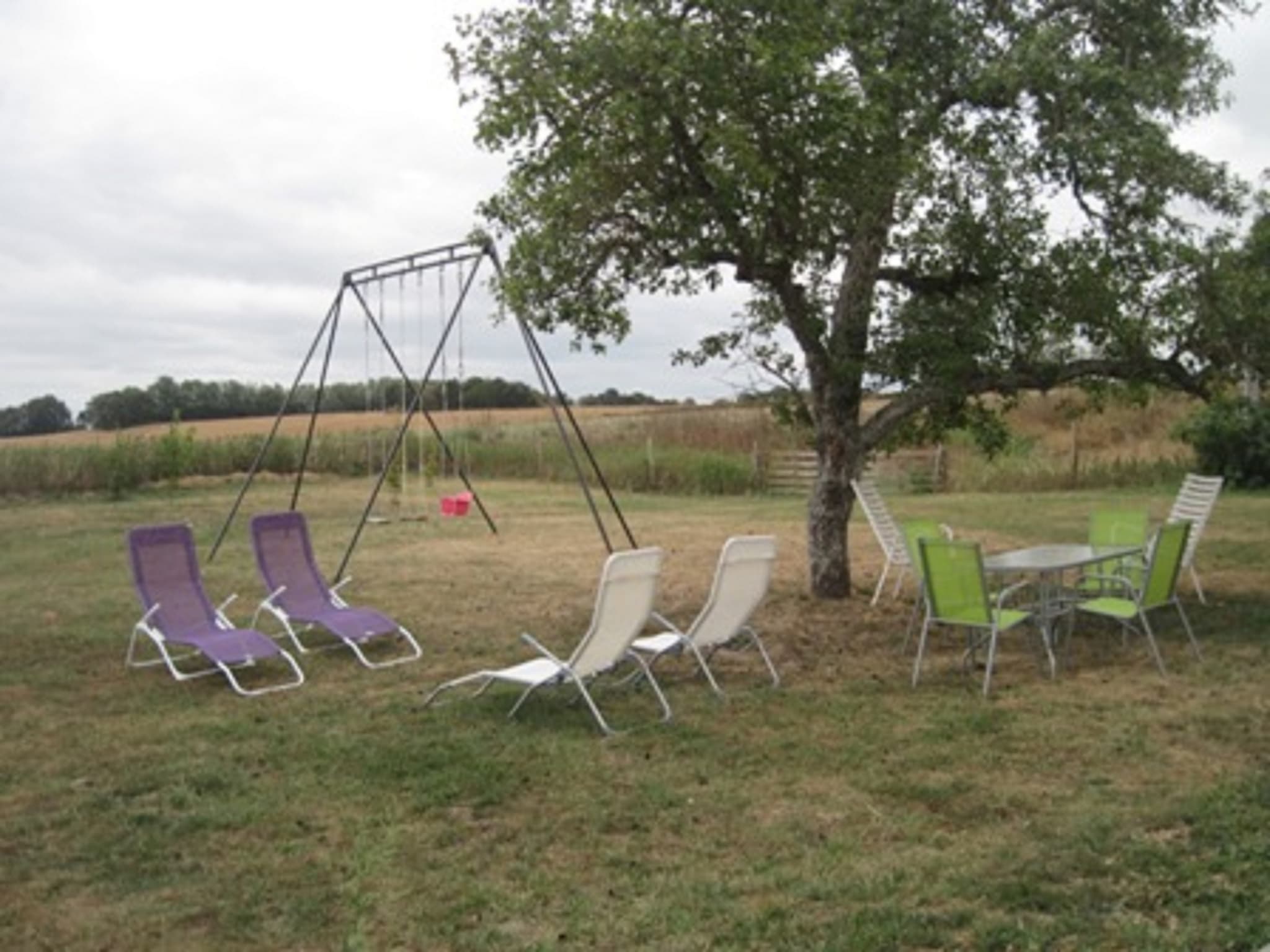 IMG_2665 (2)