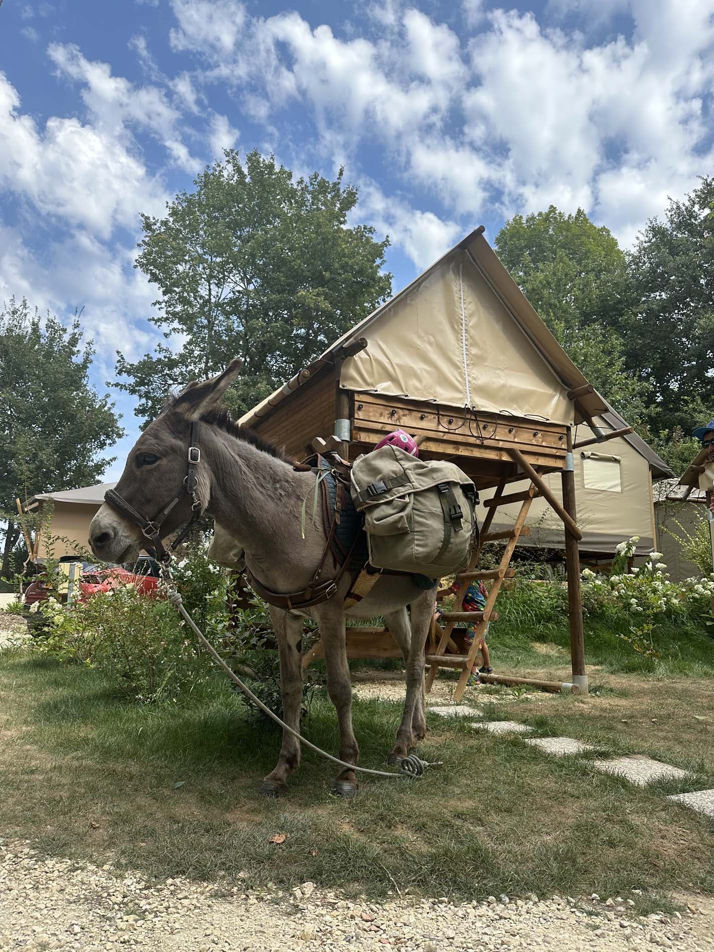 Camping les Cinq Chateaux - Vézac