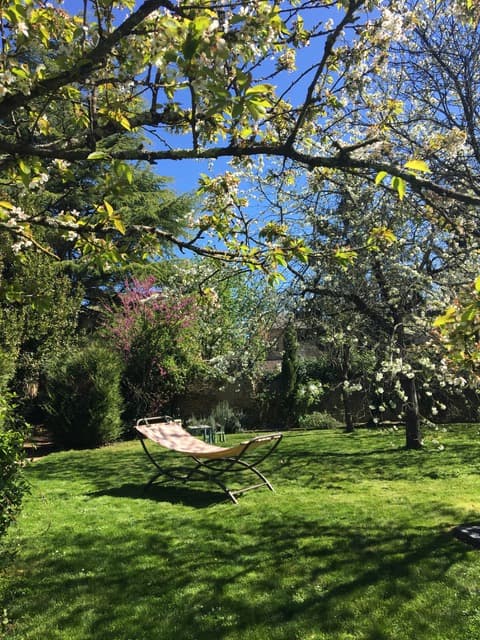 Le jardin
