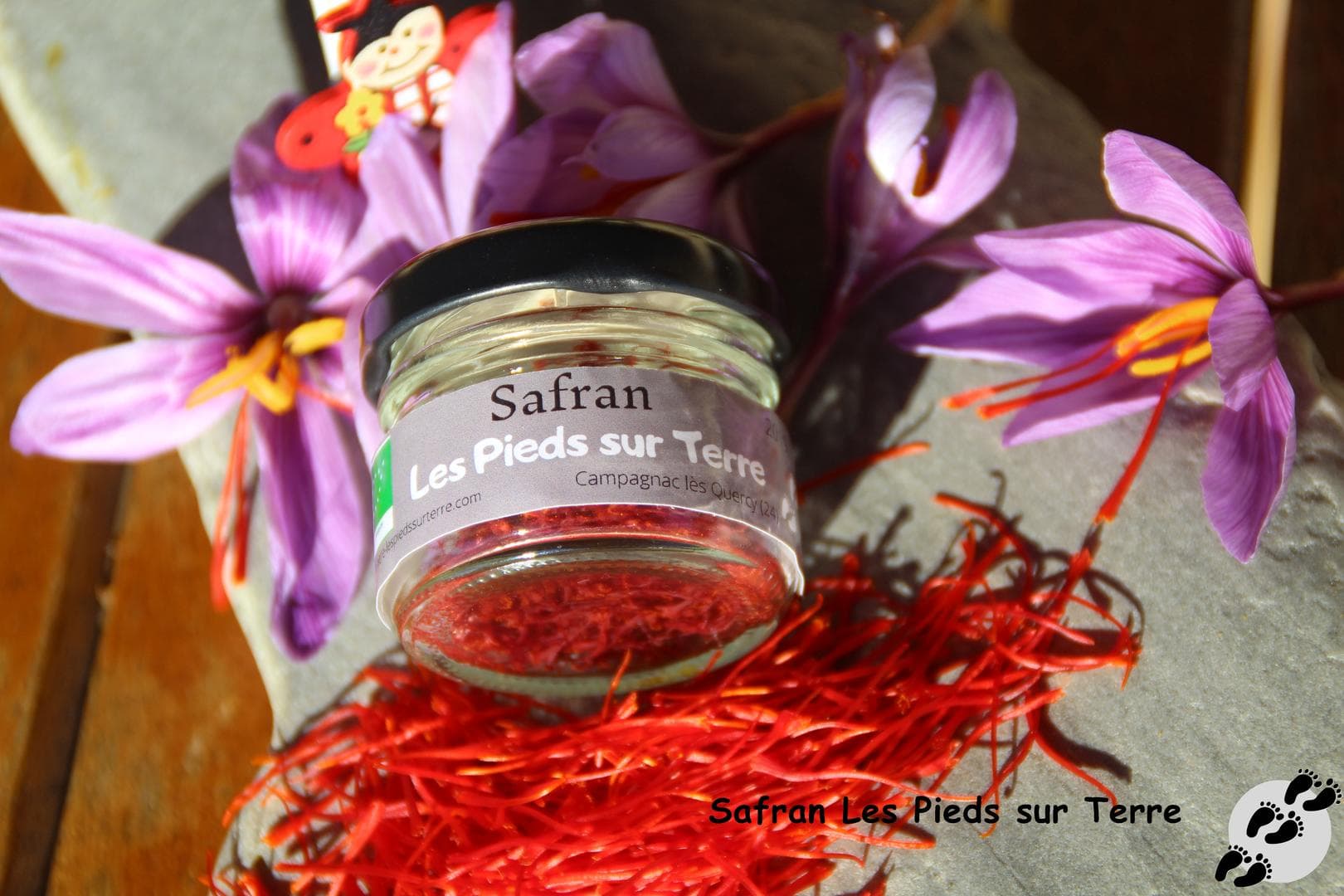 IMG_2861_GF photo N°1
