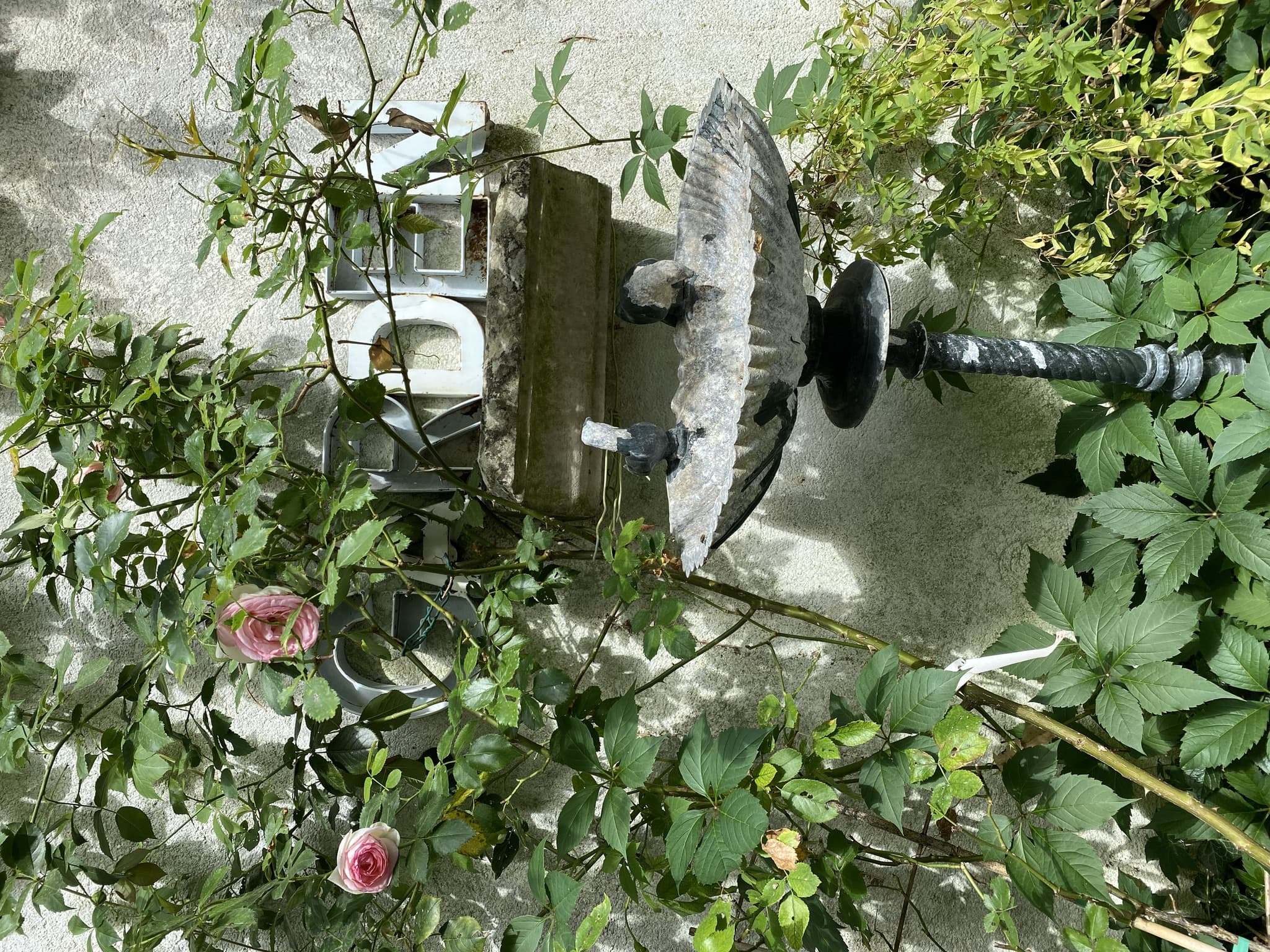 Maison 1601 à Gençay_5