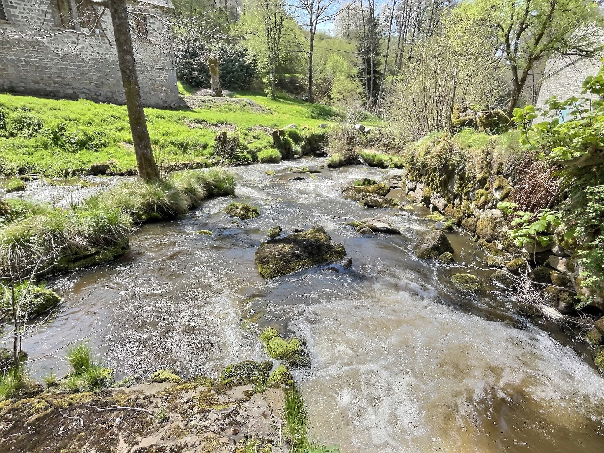 IMG_3271